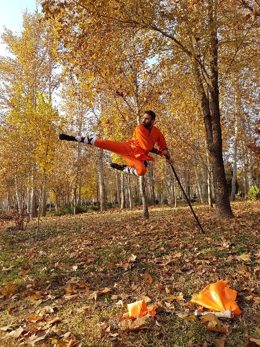 ووشو شائولین کونگ فو