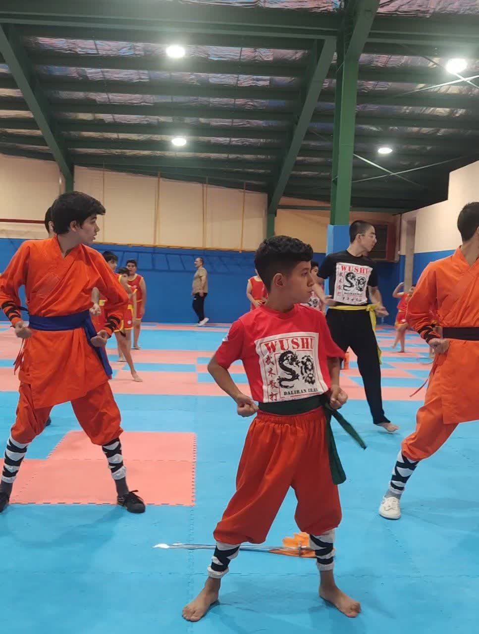 آموزش ووشو(تالو و ساندا ) به صورت خصوصی وعمومی