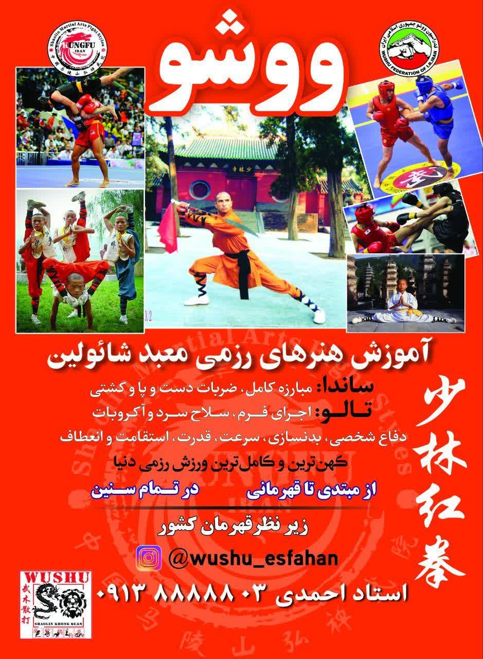 آموزش ورزش ووشو