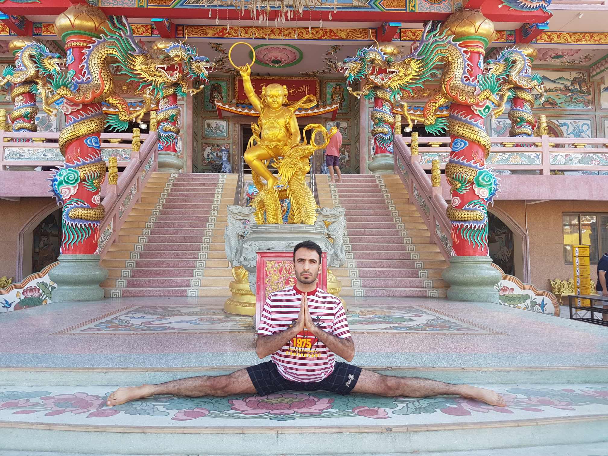 ووشو شائولین کونگ فو