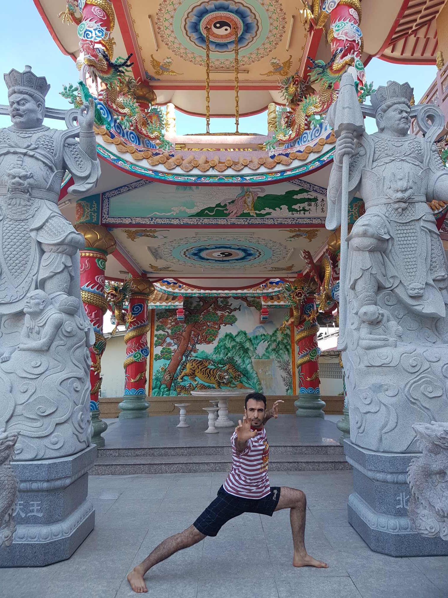 ووشو شائولین کونگ فو