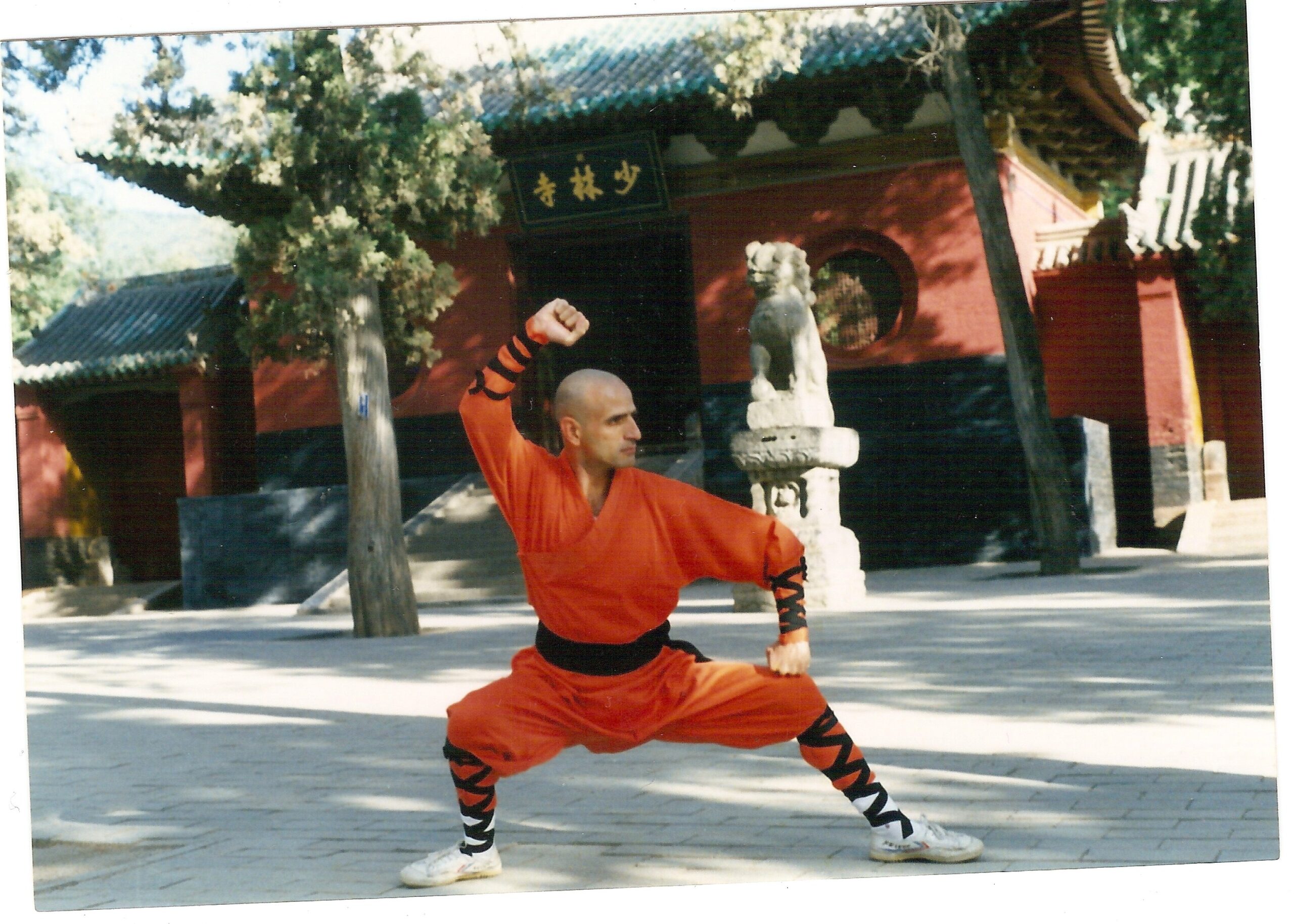 هنرهای رزمی