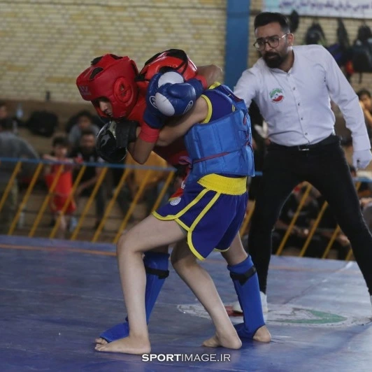 آموزش هنر رزمی ووشو