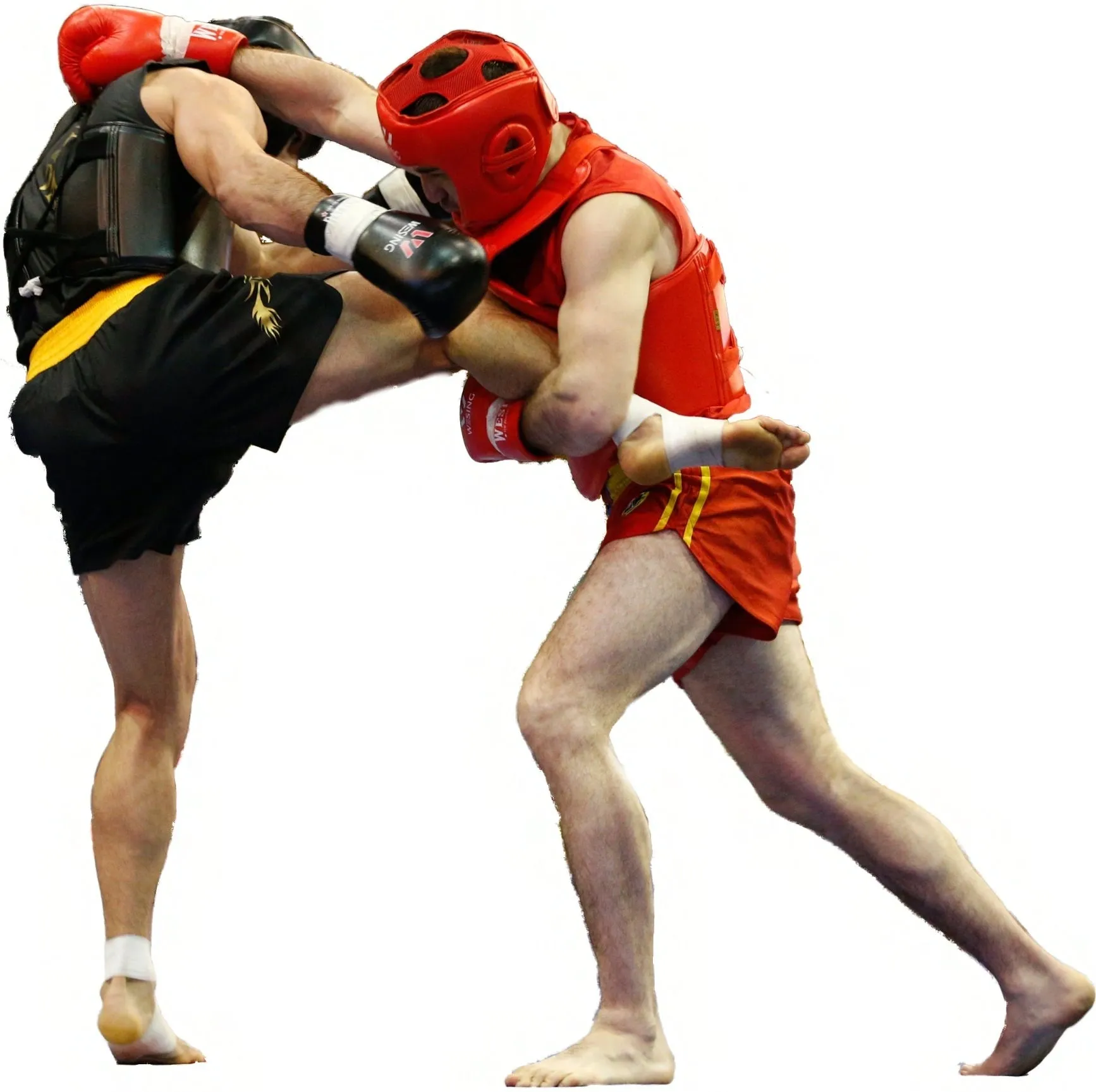 آموزش خصوصی ووشو