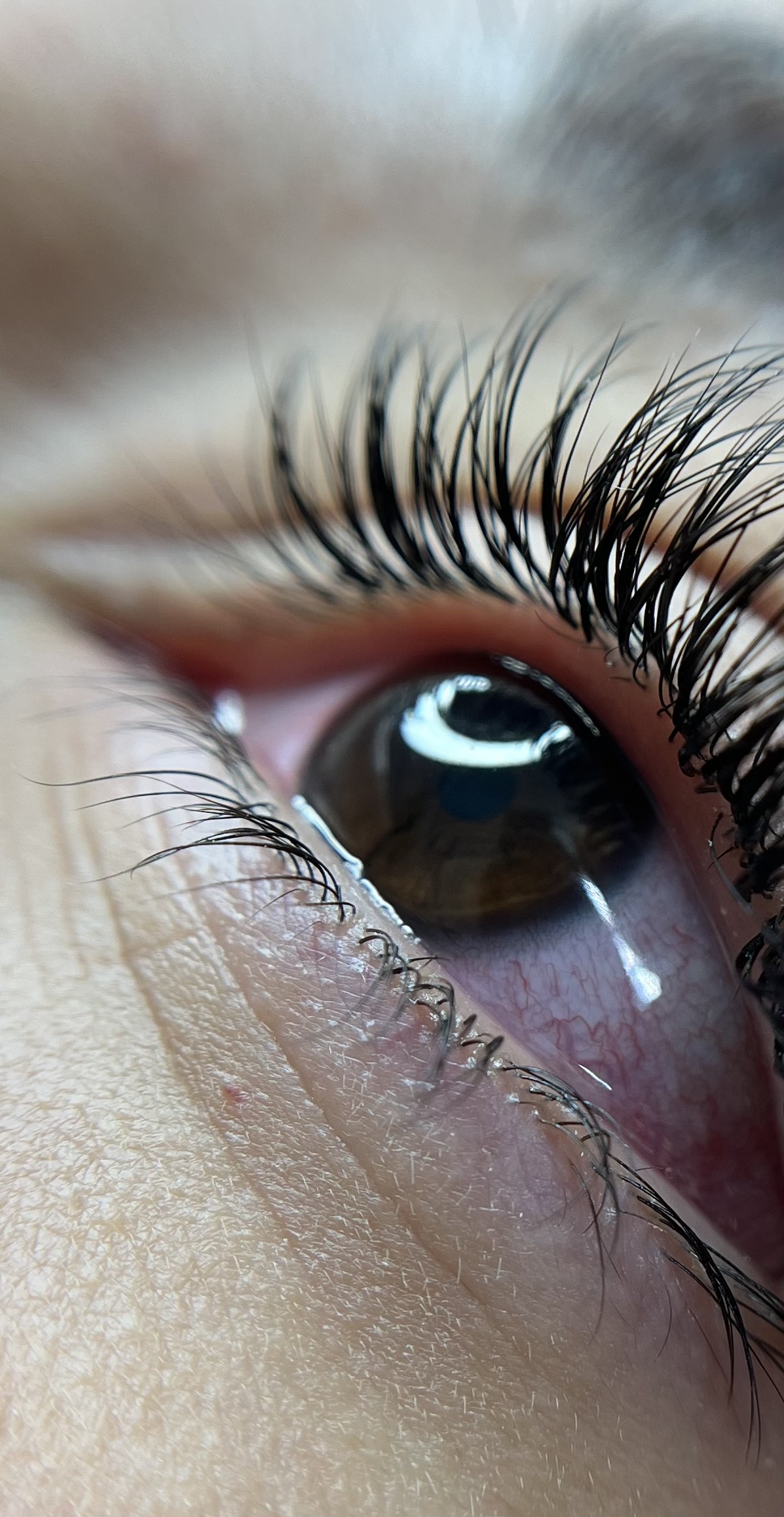 خدمات و اموزش اکستنشن مژه