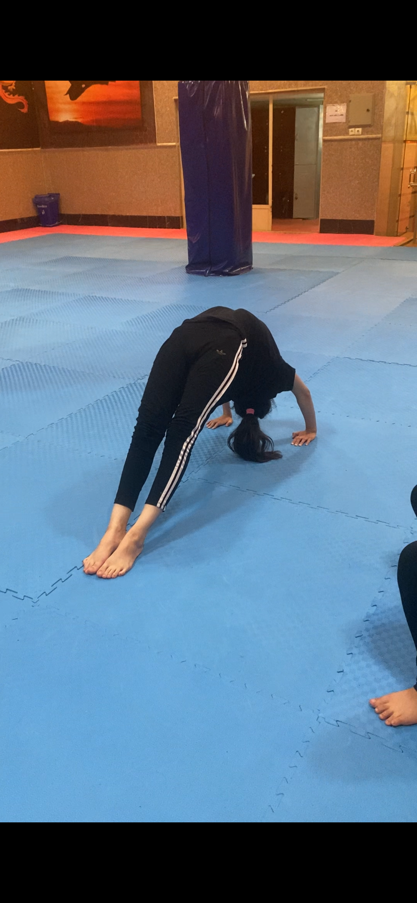 استعداديابى ووشو(بانوان)