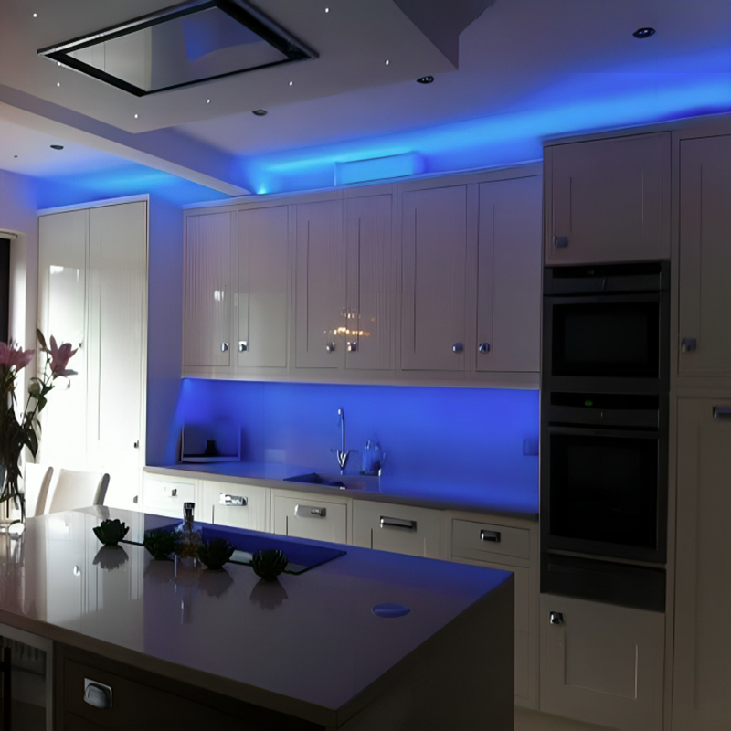 ریسه شلنگی 5730 STRIP تک لاین SMD رنگ آبی حلقه 100 متری