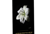 استند،تاج گل، و لوح تسلیت خیریه صدیقین