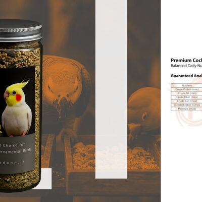 IMG_20251111_192137_768