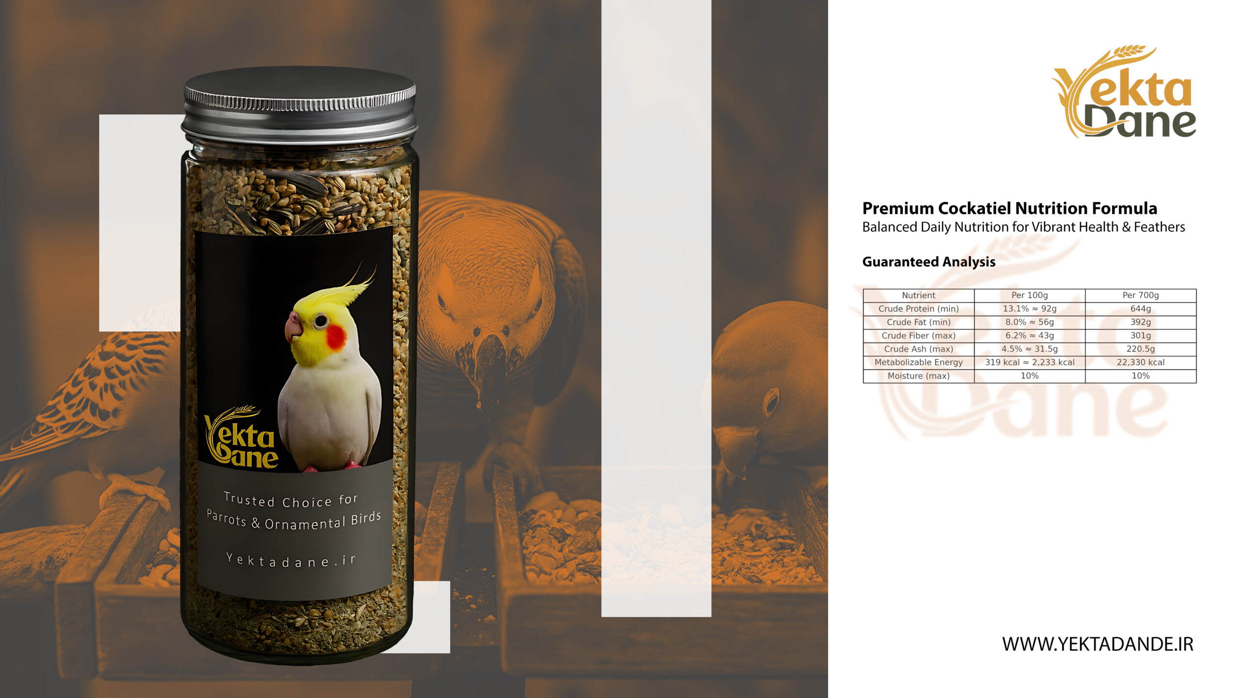 غذای عروس هلندی یکتا دانه